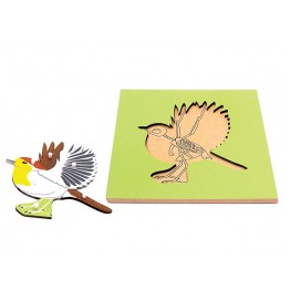 İSKELETLİ KUŞ PAZIL - BIRD SKELETON PUZZLE