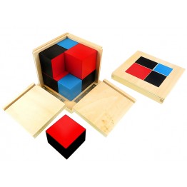 BİNOMİK KÜP - BINOMIAL CUBE