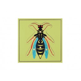 EŞEK ARISI PAZIL - WASP PUZZLE