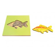 İSKELETLİ BALIK PAZIL - FISH SKELETON PUZZLE