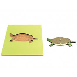 İSKELETLİ KAPLUMBAĞA PAZIL - TURTLE SKELETON PUZZLE
