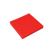 SÜNGER MİNDER 40*40*5 cm KIRMIZI