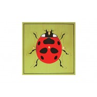 UĞUR BÖCEĞİ - LADYBUG PUZZLE