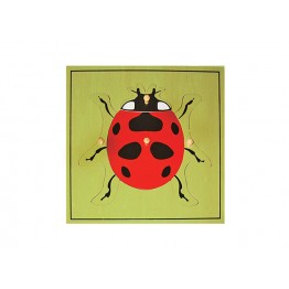 UĞUR BÖCEĞİ - LADYBUG PUZZLE